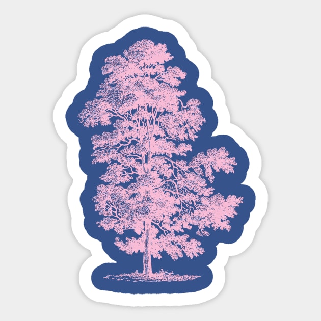 Pitch Pine Sticker by user0415